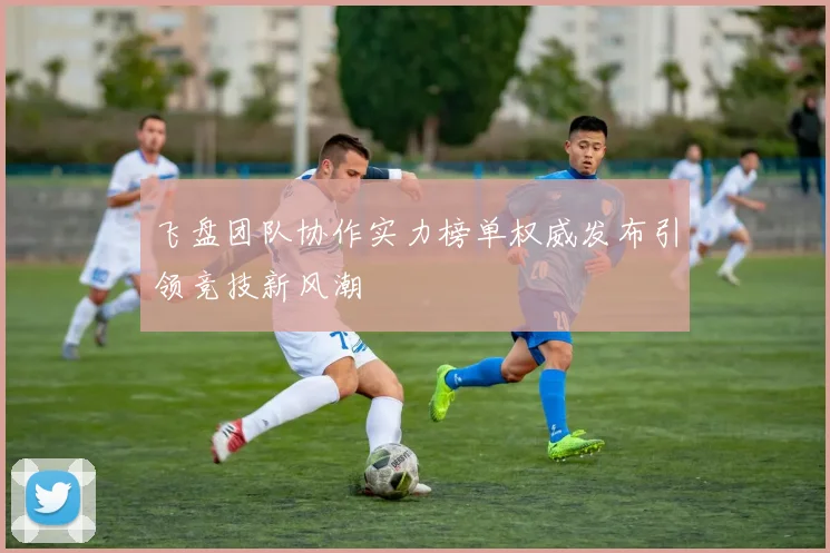 飞盘团队协作实力榜单权威发布引领竞技新风潮