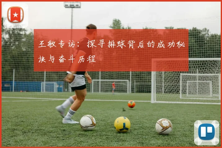 王敏专访：探寻排球背后的成功秘诀与奋斗历程