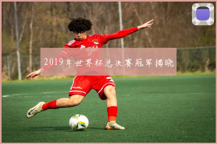 2019年世界杯总决赛冠军揭晓